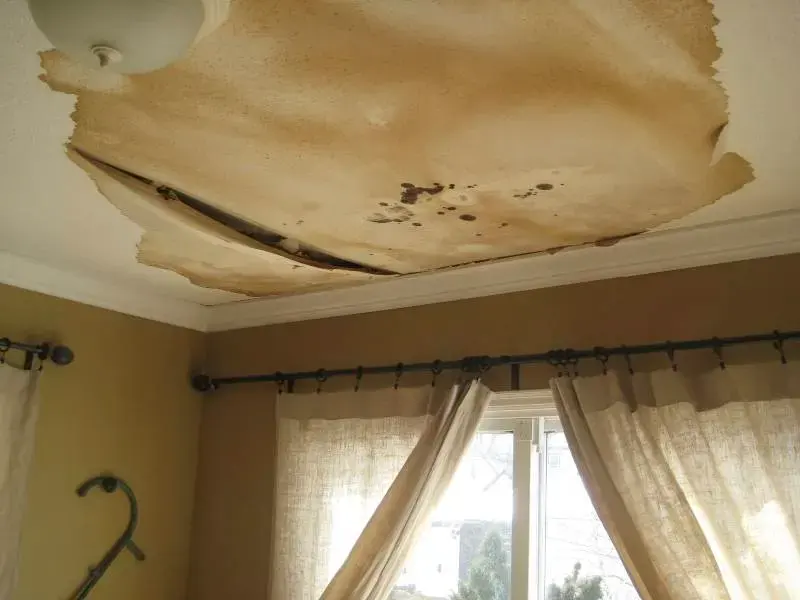 Water-stained ceiling drywall sagging and peeling above a window with curtains